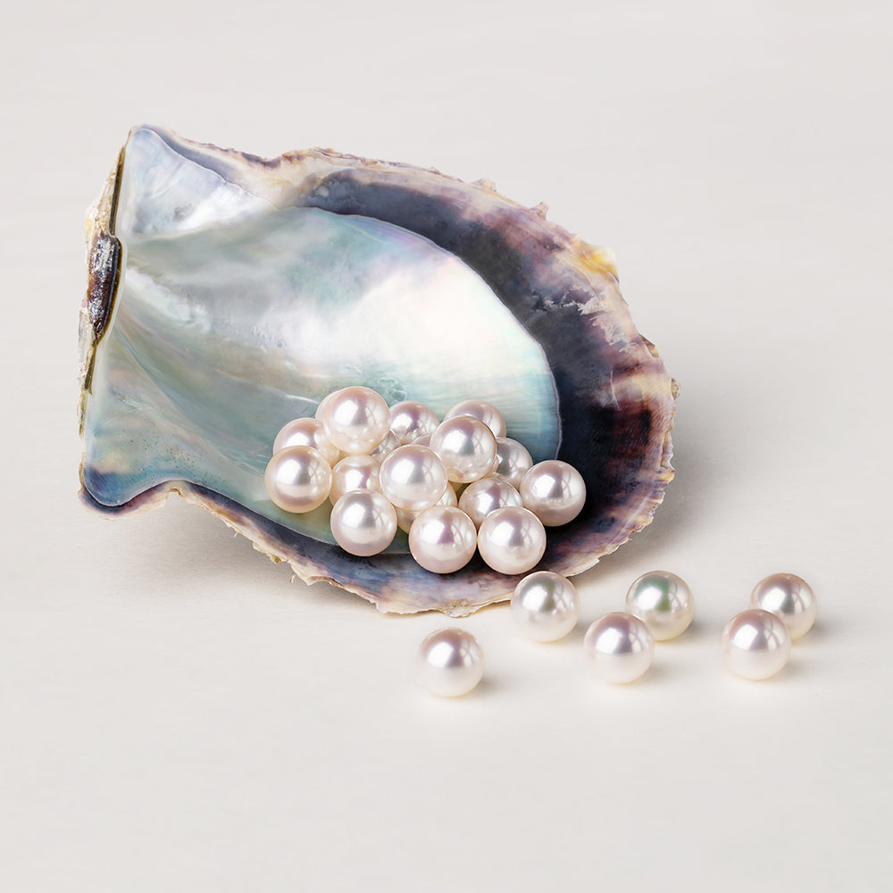 What Is an Oyster? How Do Oysters Make Pearls? HELAS Jewelry