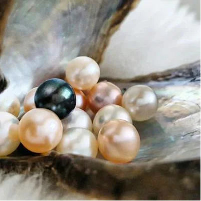 What Types Of Saltwater Pearls Are There? HELAS Jewelry